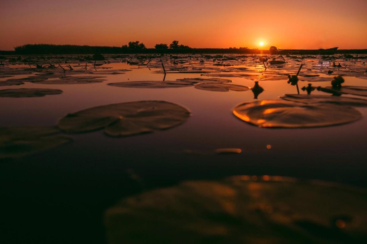 Pensiunea Obretin All Inclusive Mila Douăzeci şi Trei Exteriér fotografie